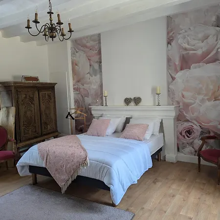 Du Chateau De Saturnin Sur Loire Ξενοδοχείο Saint-Saturnin-sur-Loire