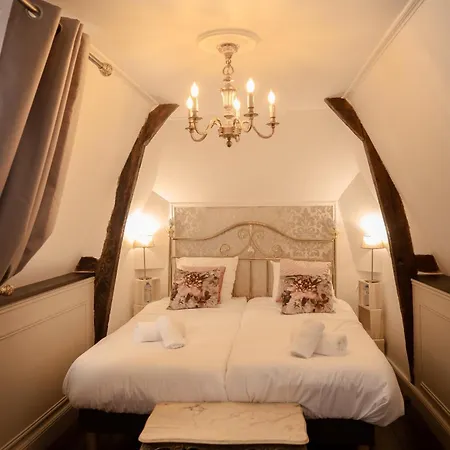 Dependance Chateau De Saturnin Sur Loire 호텔