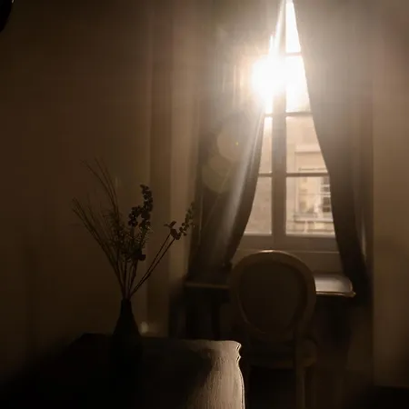 Ξενοδοχείο Du Chateau De Saturnin Sur Loire *