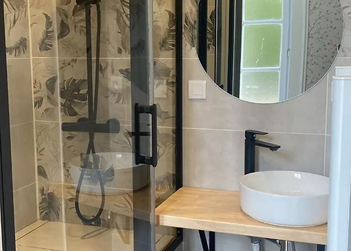 Du Chateau De Saturnin Sur Loire فندق *