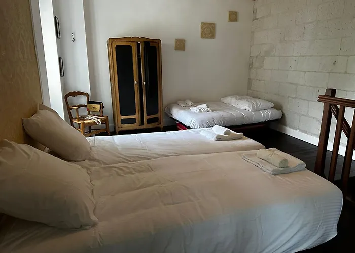 Du Chateau De Saturnin Sur Loire فندق