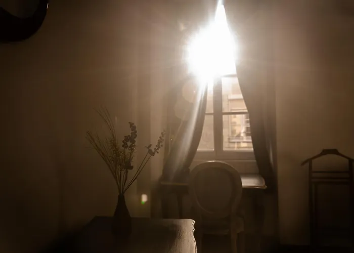 Hotel Du Chateau De Saturnin Sur Loire *