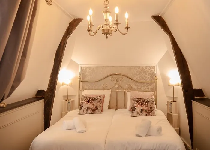 Du Chateau De Saturnin Sur Loire فندق