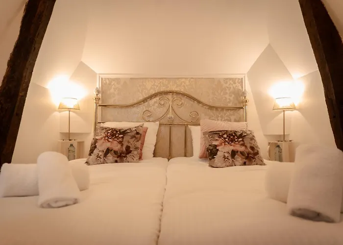 Du Chateau De Saturnin Sur Loire فندق