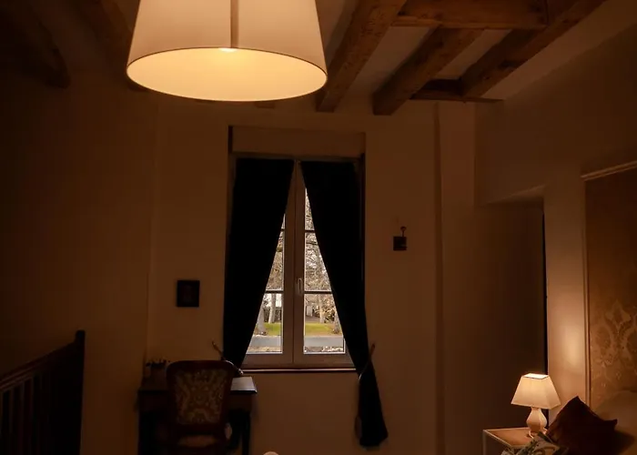 Du Chateau De Saturnin Sur Loire