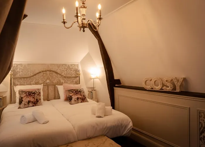 Du Chateau De Saturnin Sur Loire